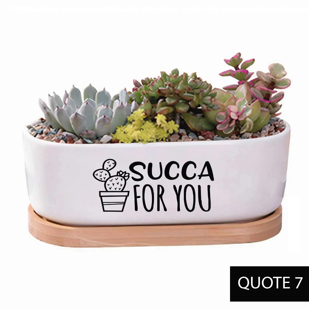 Message in a Planter - Oval 7" Emotional Support Plant WEM Support (www.WEM.support)