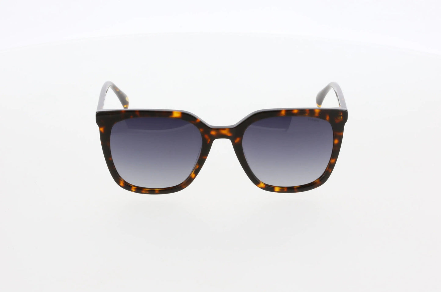 Hawk 2149 02 Women's Sunglasses WEM Support (www.WEM.support)