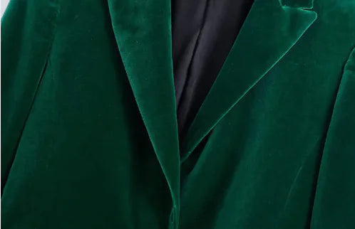 Velvet Blazer & High-Waist Straight-Leg Pants Set WEM Support (www.WEM.support)