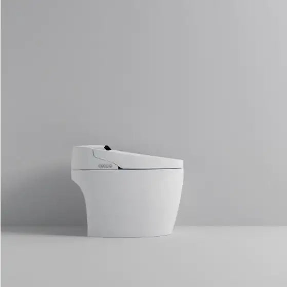 Smart Toilet With Built-in Bidet WEM Support (www.WEM.support)