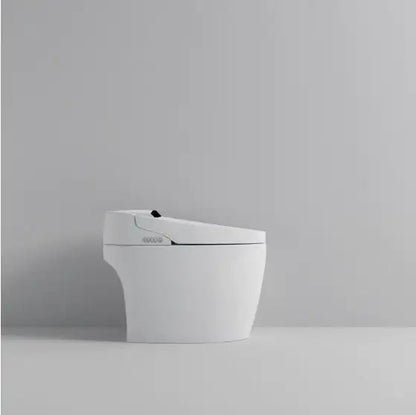 Smart Toilet With Built-in Bidet WEM Support (www.WEM.support)