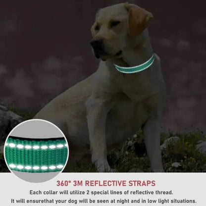 Adjustable Chest Strap Dog Collar WEM Support (www.WEM.support)