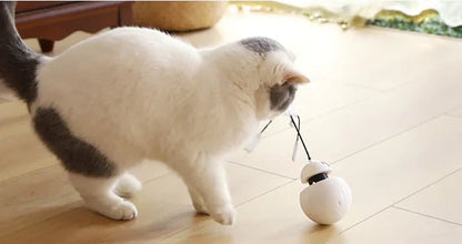 3 - in - 1 Robotic Laser Cat Toy for Pets - Catch Cards