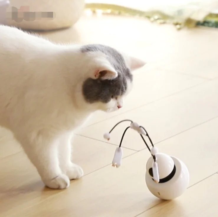 3 - in - 1 Robotic Laser Cat Toy for Pets - Catch Cards