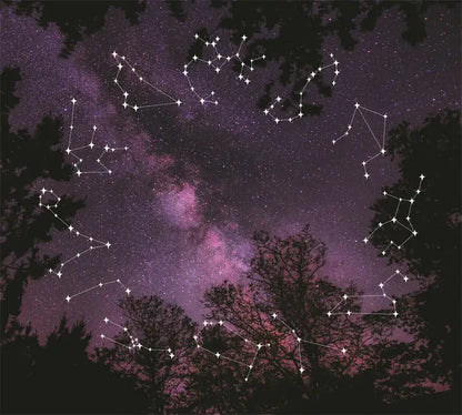 TAP -- Wall Covering Fabric WEM Support (www.WEM.support)