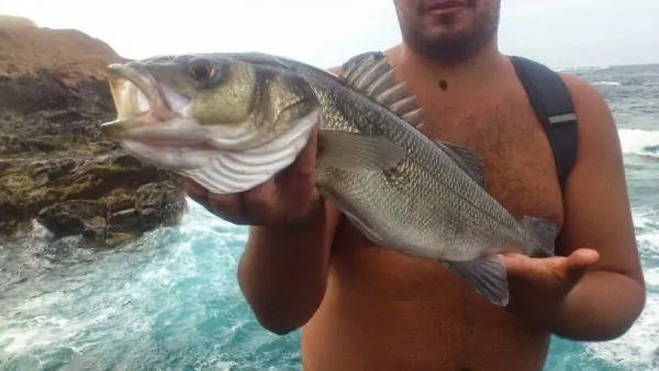 Wiederaufladbarer Zuckender Köder WEM Support (www.WEM.support)