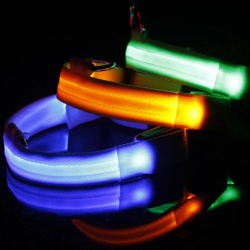 LED Adjustable Dog Collar Blinking Flashing Light Up Glow Pets Safety Waterproof WEM Support (www.WEM.support)