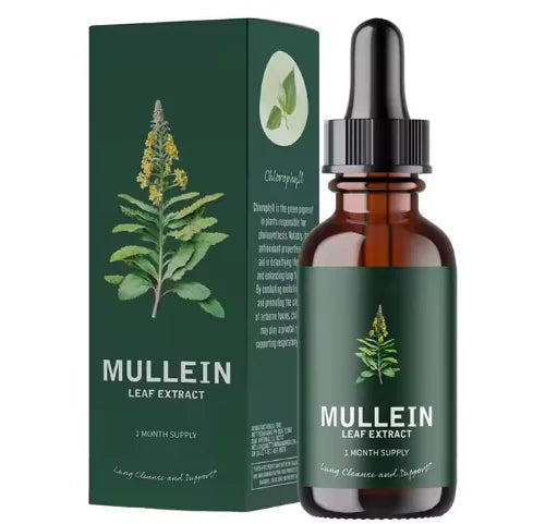 60ml Verbascum Thapsus Leaf Drops WEM Support (www.WEM.support)