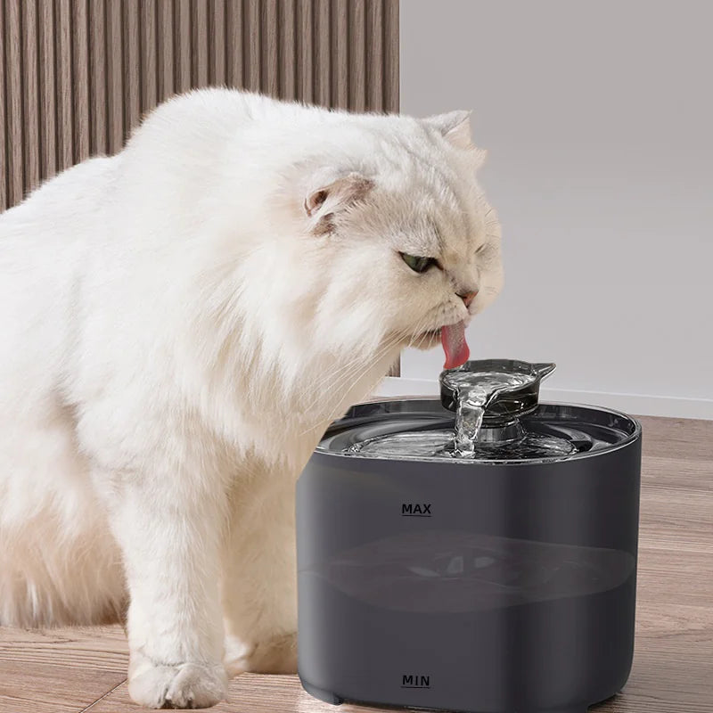 Cat Water Fountain WEM Support (www.WEM.support)