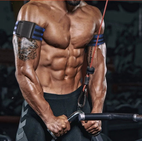Bizepswachstum Trainingsgurte WEM Support (www.WEM.support)