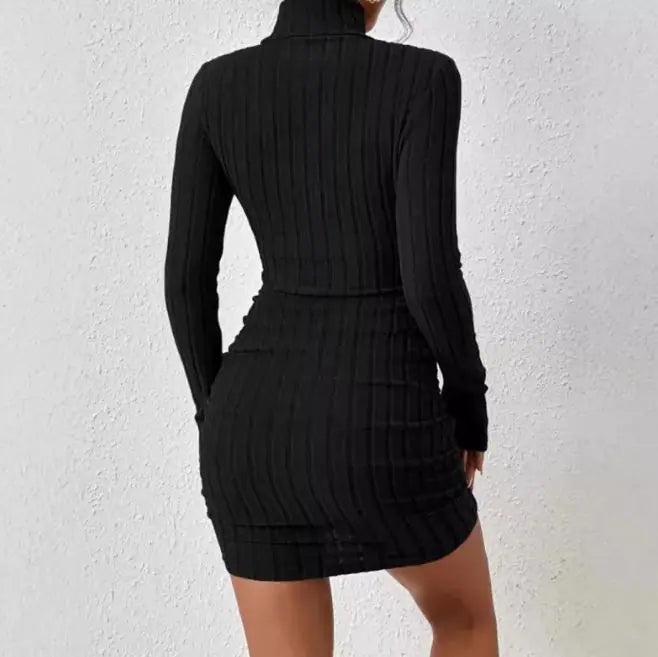 Turtleneck Slim Fit Knitted Elegant Dress WEM Support (www.WEM.support)