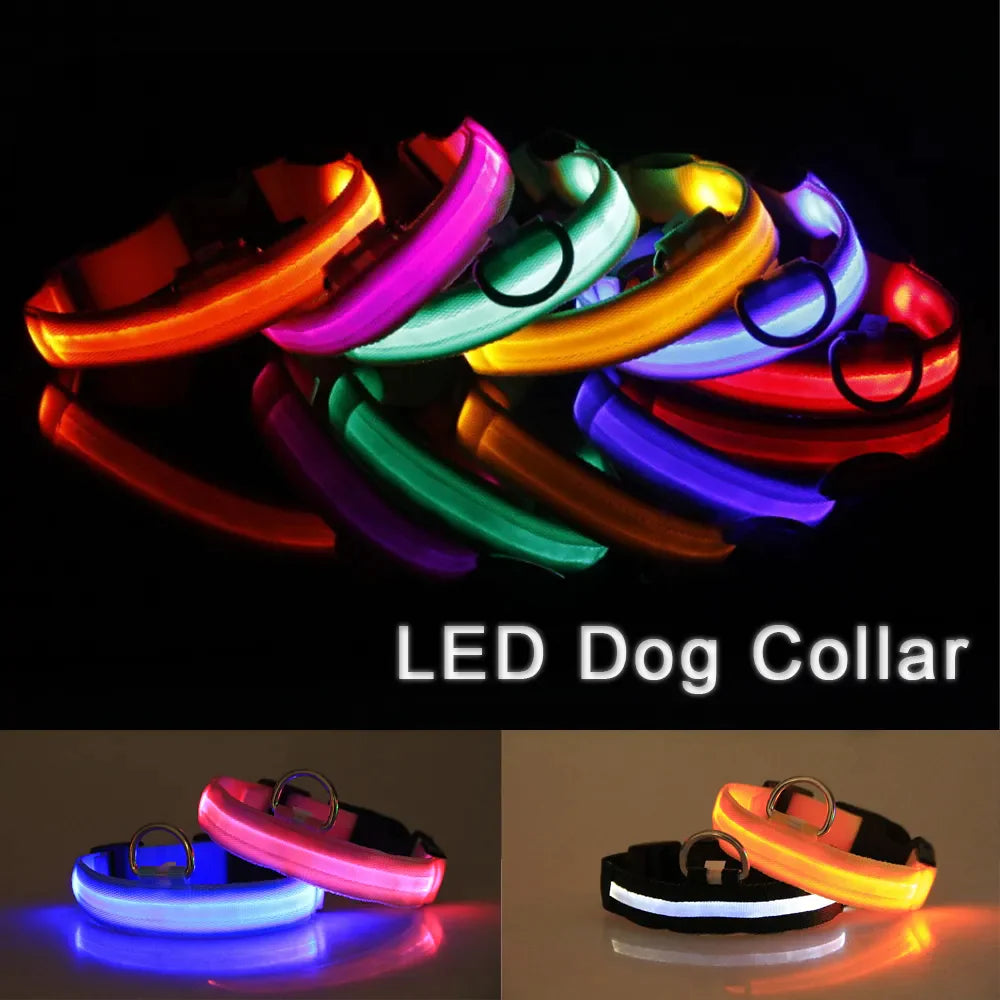 LED Adjustable Dog Collar Blinking Flashing Light Up Glow Pets Safety Waterproof WEM Support (www.WEM.support)