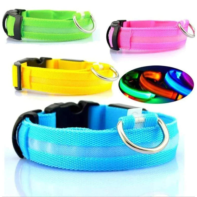 LED Adjustable Dog Collar Blinking Flashing Light Up Glow Pets Safety Waterproof WEM Support (www.WEM.support)