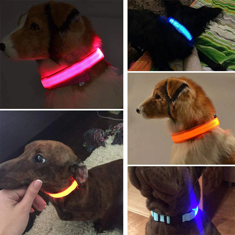 LED Adjustable Dog Collar Blinking Flashing Light Up Glow Pets Safety Waterproof WEM Support (www.WEM.support)
