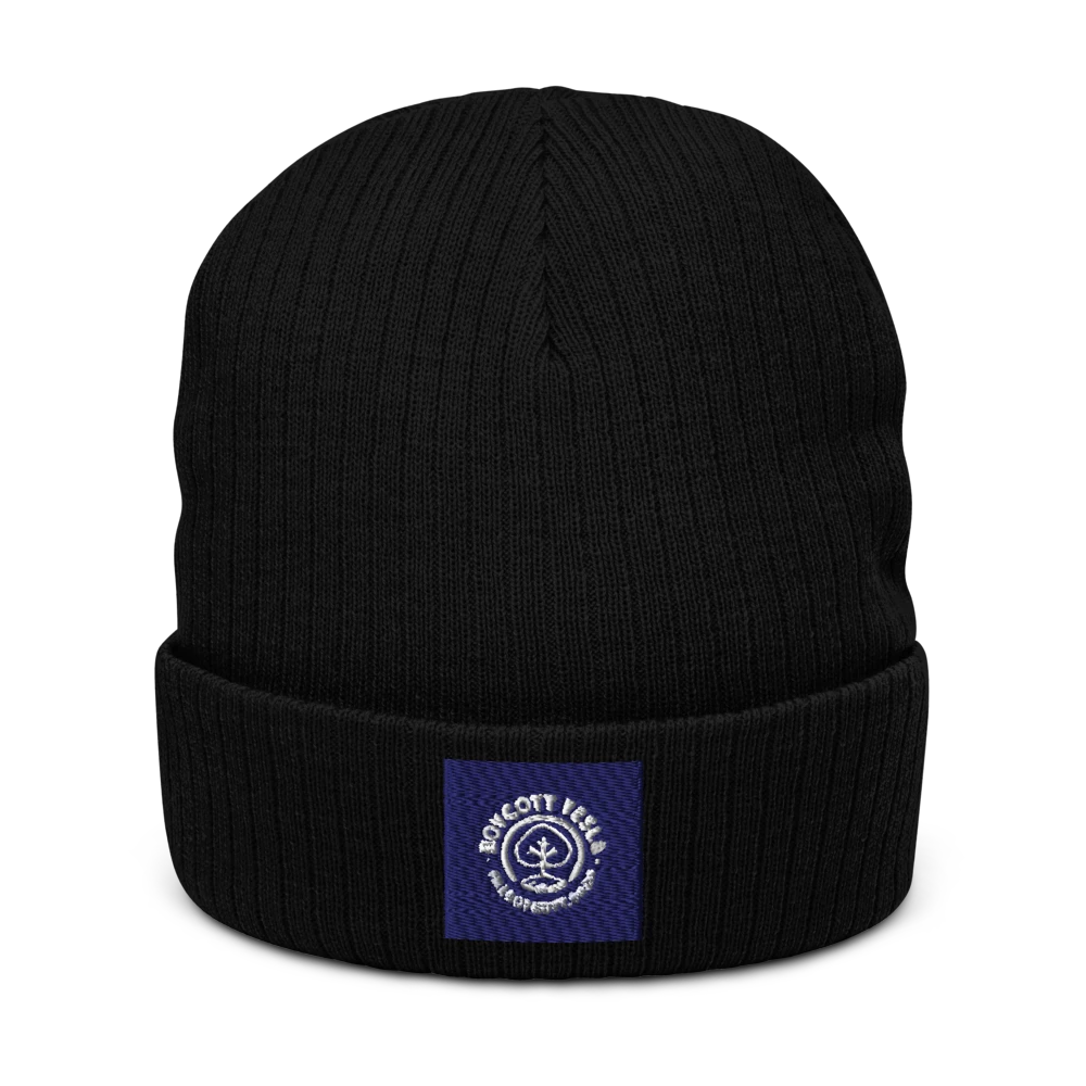 Atlantis Ribbed Beanie HejK.com Marketplace LLC