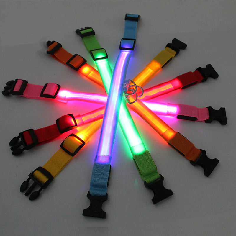 LED Adjustable Dog Collar Blinking Flashing Light Up Glow Pets Safety Waterproof WEM Support (www.WEM.support)