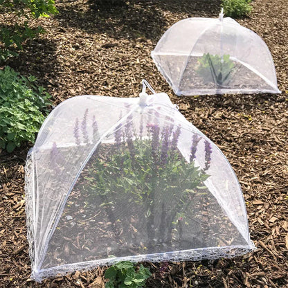 Insect-Proof Food Cover