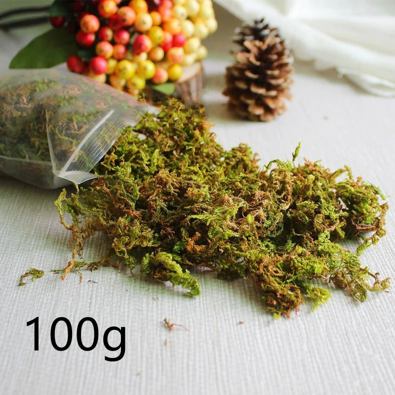 Simulated Moss Landscape Decor WEM Support (www.WEM.support)