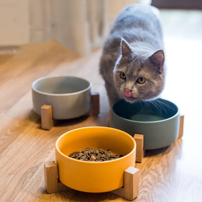 Ceramic Anti-Flip Bowl For Pets WEM Support (www.WEM.support)