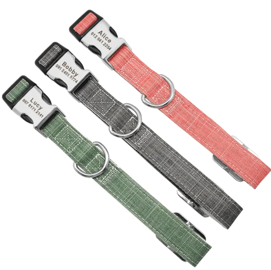 Three dog collars in red, blue, and green, with metal buckles and engraved personalized text on tags.