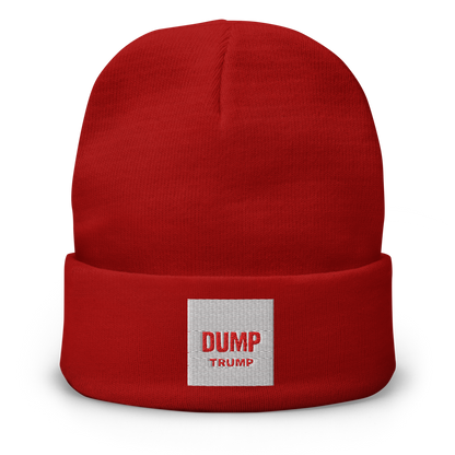 DUMP TRUMP NOW! Knit Beanie | Otto Cap 82-480