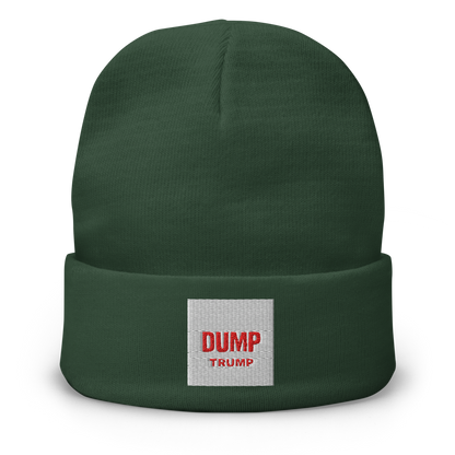 DUMP TRUMP NOW! Knit Beanie | Otto Cap 82-480