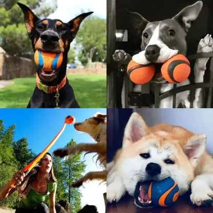 Dog Fetch Toy Ball