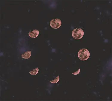 TAP -- Wall Covering Fabric WEM Support (www.WEM.support)