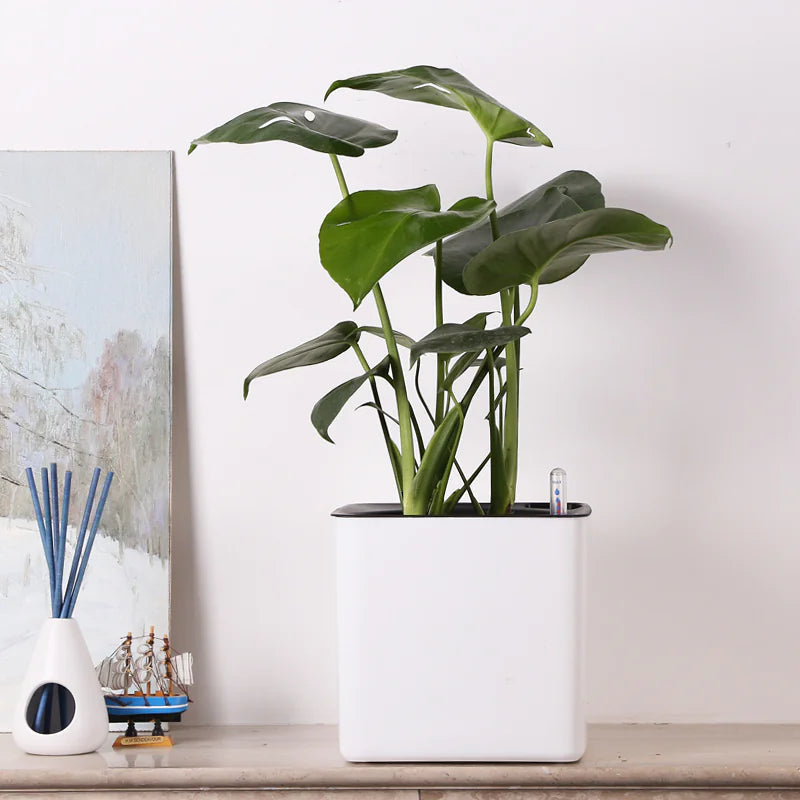 Water-Absorbing Planter HejK.com