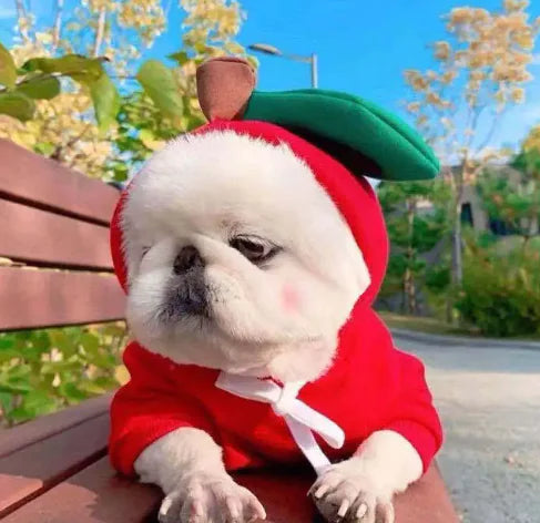 Cute Fruit Hoodie for Small Dogs WEM Support (www.WEM.support)