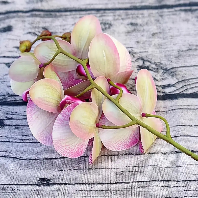 Orquídea Phalaenopsis Artificial com 6 Flores