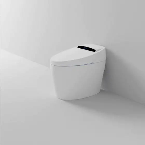 Smart Toilet With Built-in Bidet WEM Support (www.WEM.support)