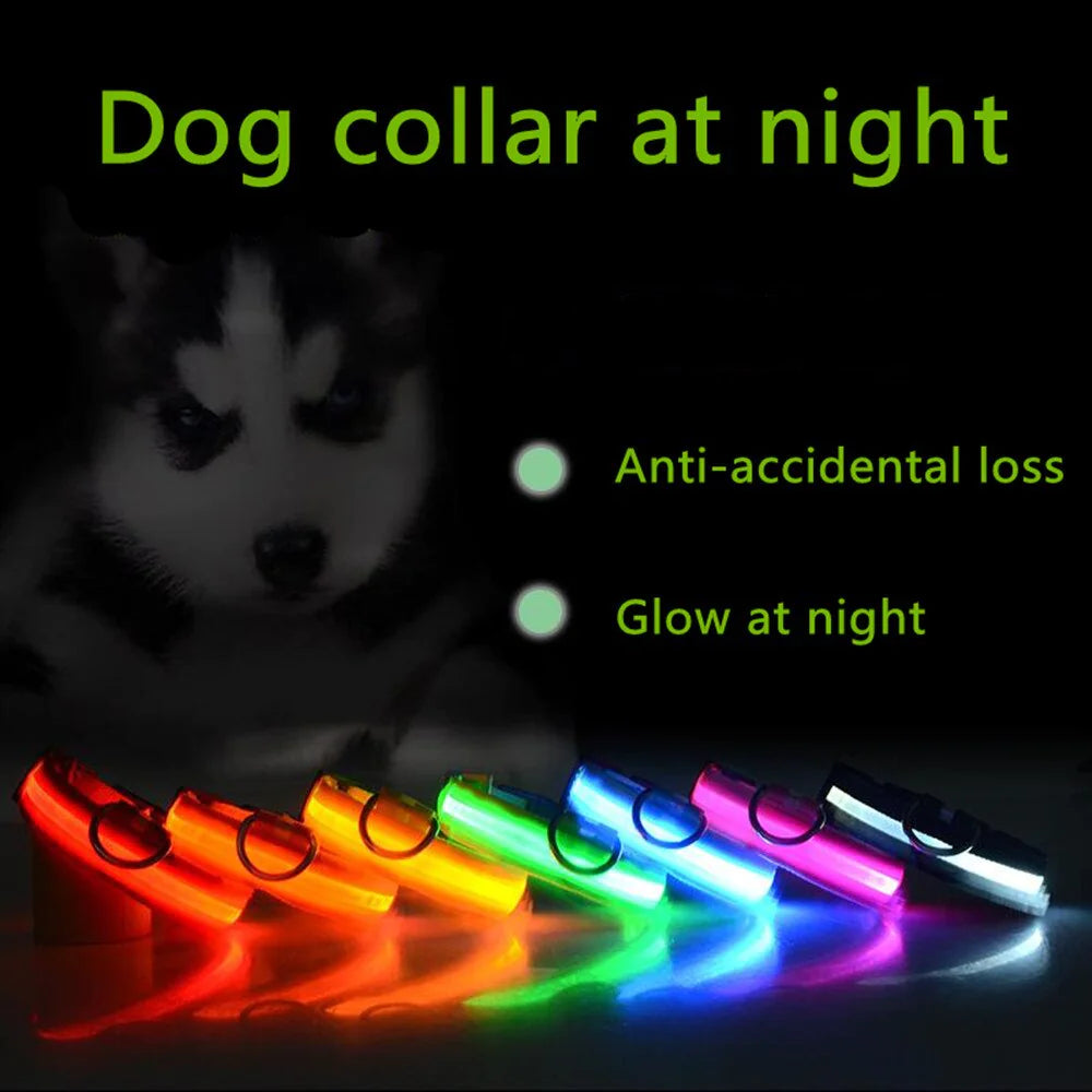 LED Adjustable Dog Collar Blinking Flashing Light Up Glow Pets Safety Waterproof WEM Support (www.WEM.support)