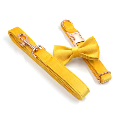 Golden Velvet Dog Collar & Bow Set HejK.com Marketplace LLC