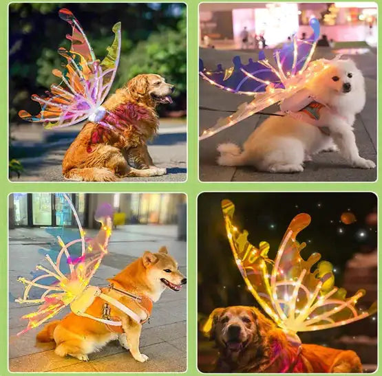 Asas de Borboleta Elétricas com Música e Luzes! WEM Support (www.WEM.support)