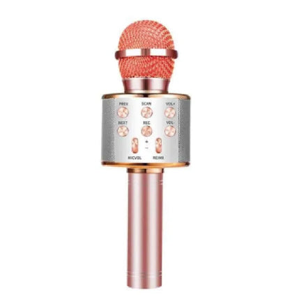 Microfone do Artista e Caixa de Música WEM Support (www.WEM.support)