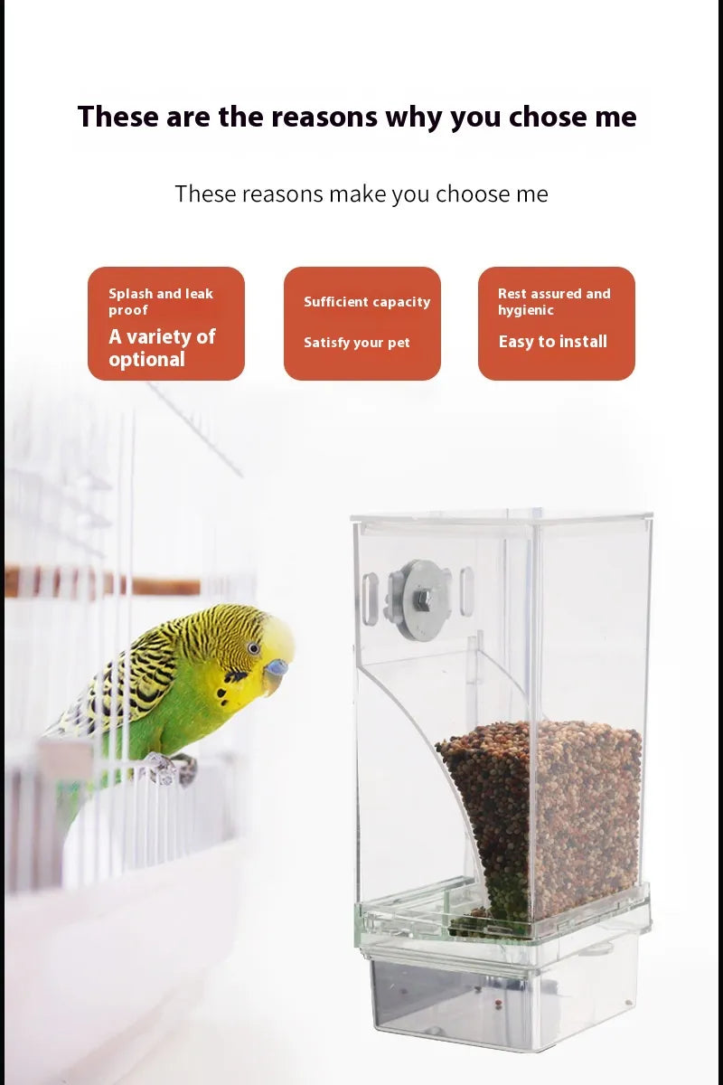 Automatic Plug-in Bird Feeder HejK.com