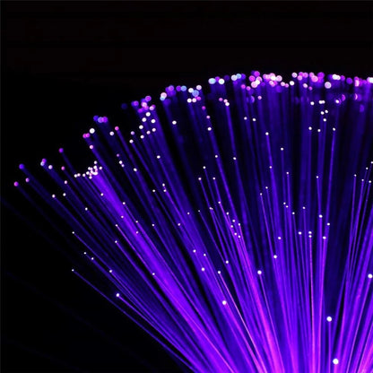 LED Fiber Optic Lamp HejK.com
