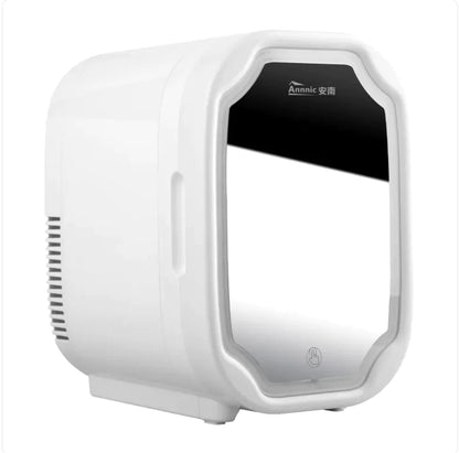 Portable Mini Beauty Fridge with Mirror, 110V WEM Support (www.WEM.support)