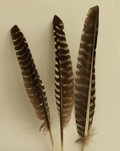 White Sage Pure Leaf WEM Support (www.WEM.support)