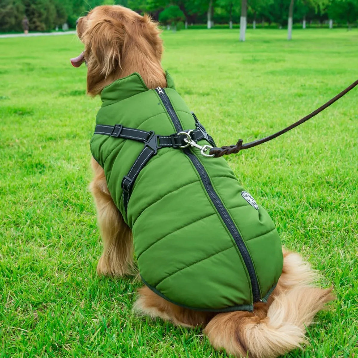 Dog Cotton Winter Vest WEM Support (www.WEM.support)