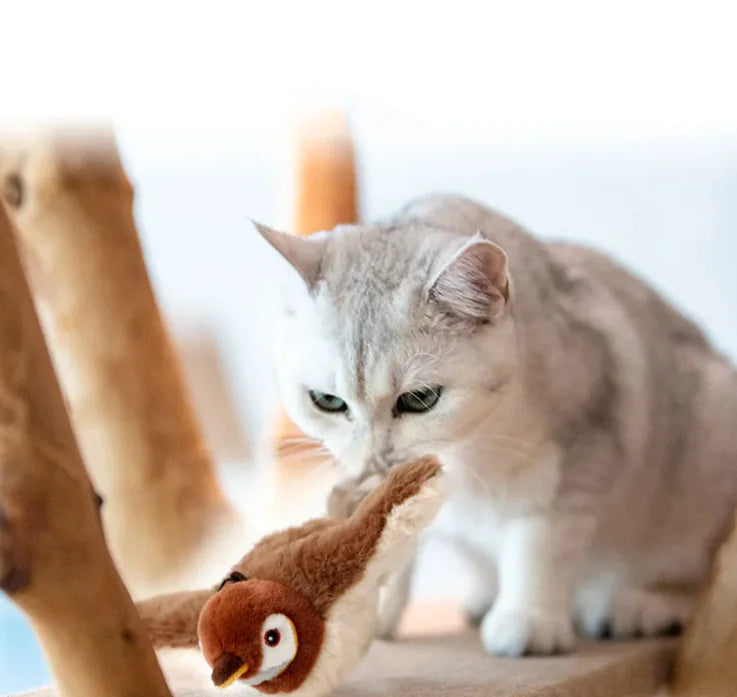 Winged Bird & Fish Sound Plush Toy WEM Support (www.WEM.support)