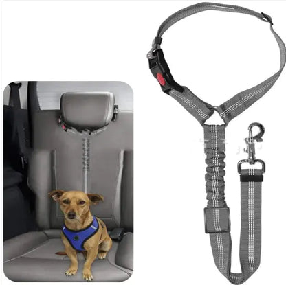 Pet Car Harness WEM Support (www.WEM.support)