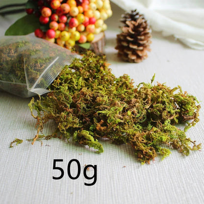 Simulated Moss Landscape Decor WEM Support (www.WEM.support)