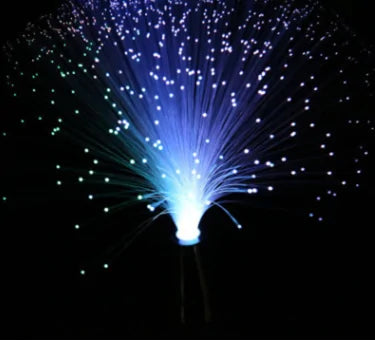 LED Fiber Optic Lamp HejK.com