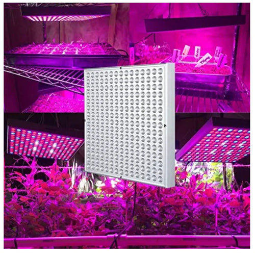 A collage of images showing an LED grow lamp with purple-tinted light being used indoors for indoor plant growth.