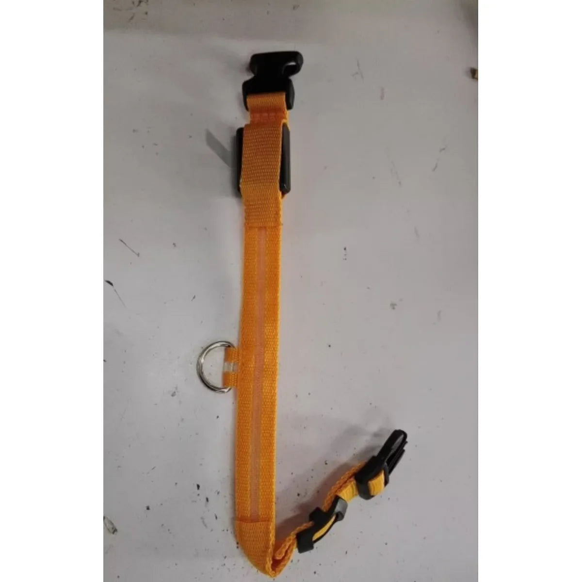 A blue LED pet safety collar with a bright ring at the center, equipped with a plastic buckle and additional metal ring for attachment.