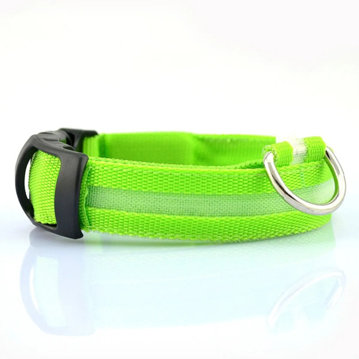 A blue LED pet safety collar with a bright ring at the center, equipped with a plastic buckle and additional metal ring for attachment.