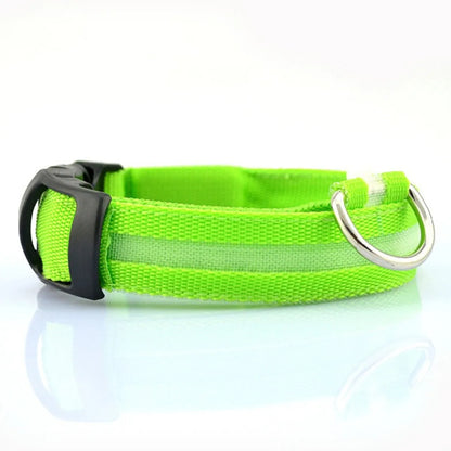 A blue LED pet safety collar with a bright ring at the center, equipped with a plastic buckle and additional metal ring for attachment.