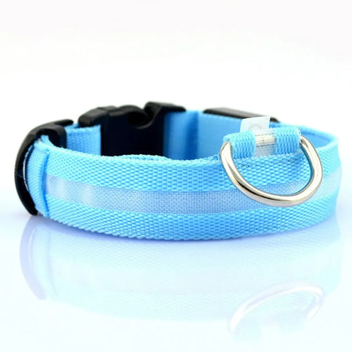 A blue LED pet safety collar with a bright ring at the center, equipped with a plastic buckle and additional metal ring for attachment.